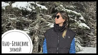 VLOG #171 / Поездка в Монктон / Нью-Брансвик / Февраль 2022