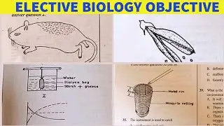 WASSCE Biology 2024 Questions and Answers Objectives