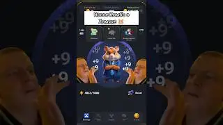 Новое Комбо В Hamster Combat 🐹 #hamsterkombat #новости #хомяк #лайфхак