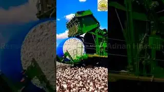 Today Cotton crop picking and bundle making machine for feasibility and sustainability #agriproduct