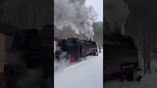 Simultaneous steam departure in the snow! #harz #steam #snow #Eisfelder #HSB