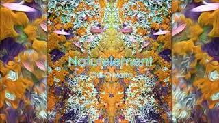 Naturelement - Chill-O-Matta (Psychill) [Full Album]
