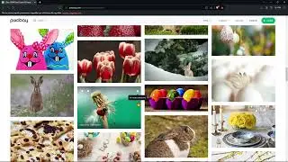Videoguide - Download Free Video, Audio, Music, Sound, Image, Photo, Illustration, Vector Graphic