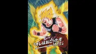 THE CLASSIC! STR NAMEK TRANSFORMING GOKU SUPER ATTACK & ACTIVE SKILL ANIMATIONS! | DBZ Dokkan Battle