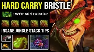 EPIC 9K GOD Solo Mid Bristleback & Imba Stack Jungle Tips with Godlike Abyssal Hard Carry DotA 2