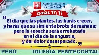 CAMPAÑA Y CENA IPC DOMINGO 01-02-2026