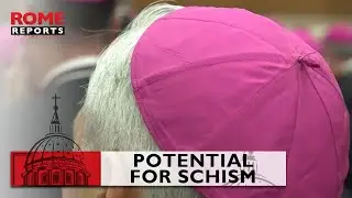 Germany bishops respond with irritation to #Vatican warning