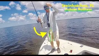 Inshore Wham! - Steinhatchee, FL