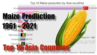 Top 10 Maize production of Asia countries 1961-2021. #data #world #racing