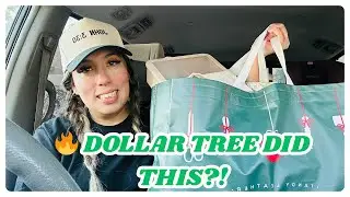 Dollar Tree School Project Finds 😱✏️ I Was SHOCKED!