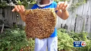 SPOTLIGHT - South Florida Beekeeper