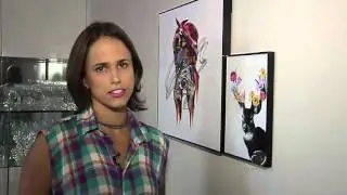 Lonita Buffon fala sobre quadrismo no programa Art et D&eacute;cor - Folha Vit&oacute;ria