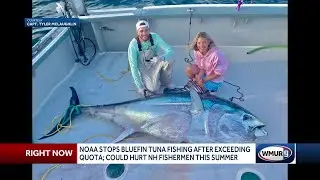 NOAA stops bluefin tuna fishing after quota exceeded