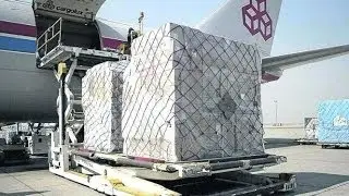 Air Cargo- Drogowy transport przesyłek lotniczych