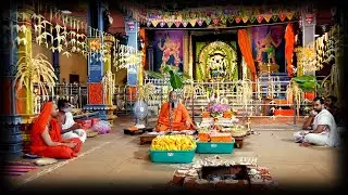 Mruthyunjaya Mantram  by Pujyasri Swami Omkarananda - Vedapuri