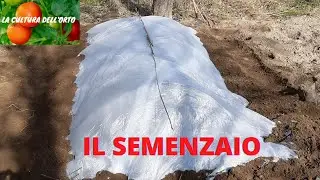 I Pomodori - Febbraio, Step 2: Semi nel Semenzaio e trattamento con Calce Idrata. (Grow Tomatoes).