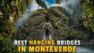 Best Hanging Bridges In Monteverde  | Thrilling Cloud Forest Adventure!