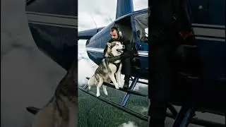 Brave Dog Saves a Pilot From a Helicopter Explosion 🚁🐶 | Rescue Story