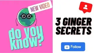 3 GINGER SECRETS - the superpowers of ginger