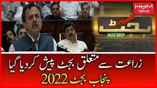 Budget of AGRICULTURE, Pakistan's Biggest Sector of Biggest Province of Pakistan, PUNJAB!! 2022-23