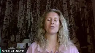 Midi ZEN911
