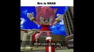 What color is the sky? #sonic  #memes