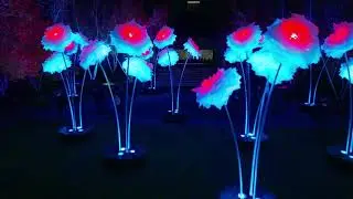 Lightscape 2021 at the Chicago Botanic Garden