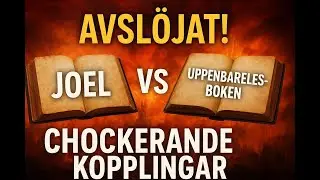 Joel & Uppenbarelseboken: Tv&aring; profetior &ndash; en domedagsvision?&rdquo;