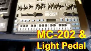 Roland MC 202 & Light Pedal Ambient