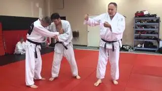 Leg Style Uchi Mata