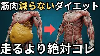 【脂肪燃焼率3倍】筋肉を落とさず脂肪だけを爆速で落とす最強ダイエット｜内臓脂肪の落とし方｜体脂肪を減らす方法で効率よく肥満症を改善｜痩せる運動｜お腹痩せ