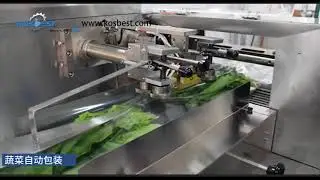 Visual Tour Of Vegetable Fresh Produce Packaging Using A Horizontal Flow Wrapper