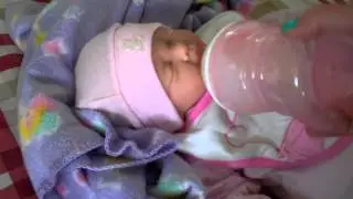 Reborn Daycare Routine l Reborn Life