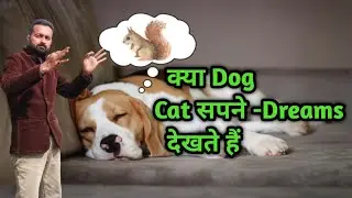 क्या Dog and cat भी आपके Dreams देखते है ?