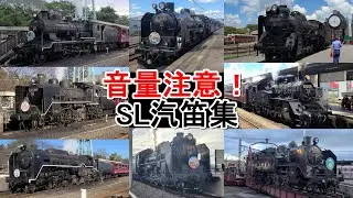 【音量注意のSL汽笛！】蒸気機関車汽笛集(短編)