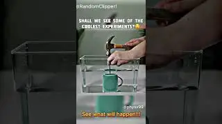 Physics for Curious Minds