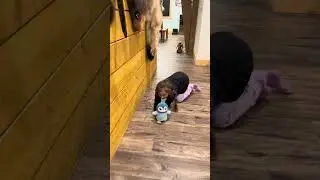 🐧CUTE Girl Unboxing Little Live Pets Walking Penguin #shorts #littlelivepets #walkingpenguinwaddles