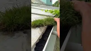 Jard&iacute;n en Canaletas DIY: Truco Vertical F&aacute;cil