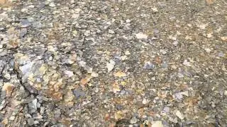 FunCub Vess prop.MP4