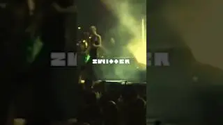 Смысл Zwitter Rammstein за 35 секунд #rammstein #смысл #performance
