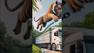 Tiger #animals #aiinwildlife #animals #cuteanimal #techforanimals #tiger