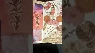 #rose#journal #scrapbooking