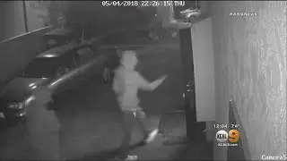Thai Restaurant In Venice Robbed At Gunpoint