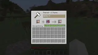 You can actually enchant a BRUSH in Minecraft?!
