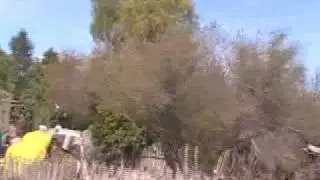 OJO DE AGUA DURANGO  (ANTON MARTIN DURANGO)