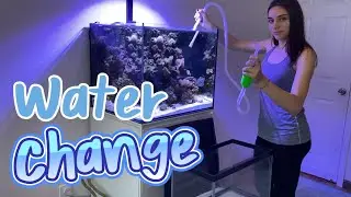 How I do Waterchanges on my Reef Tank