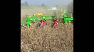 Decompattamento e preparazione del terreno con Combinata flex