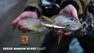 Bassday Sugar minnow SG 95F boost - Spinning alla trota in Adige