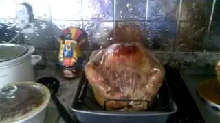 Vag turkey part 3
