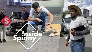 Inside Spinny | Vlog 2 | Spinny Park, Bengaluru ft. Turbo - the Happiness Manager 🐶